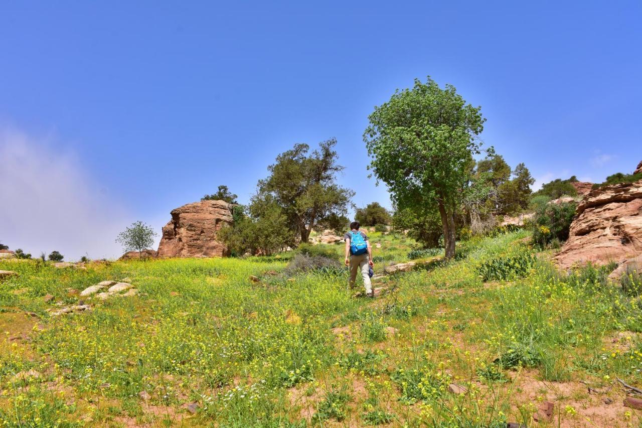 Dana View Guest House Dış mekan fotoğraf