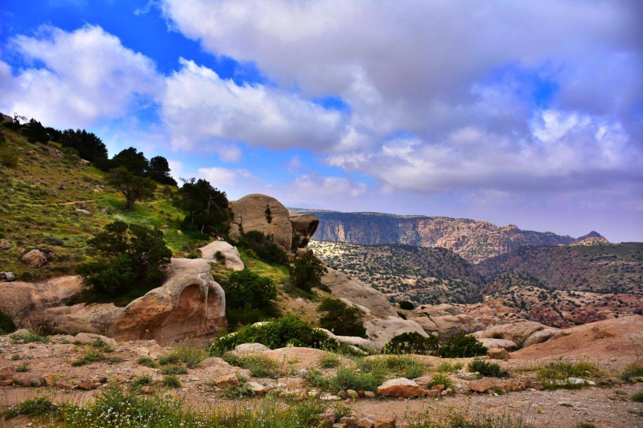 Dana View Guest House Dış mekan fotoğraf