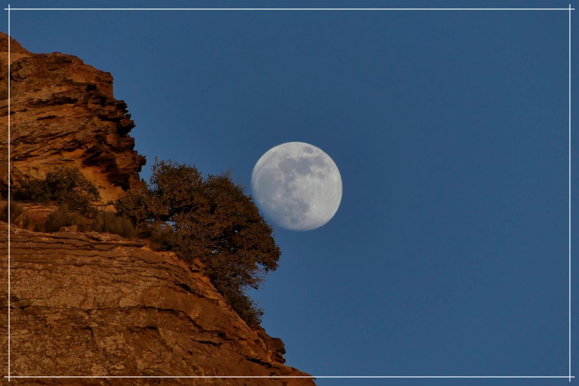 Dana View Guest House Dış mekan fotoğraf